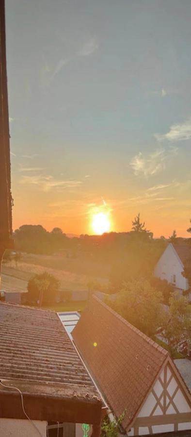 Urlaub Am Rhein Speyer Hockenheim Leilighet Altlussheim Eksteriør bilde