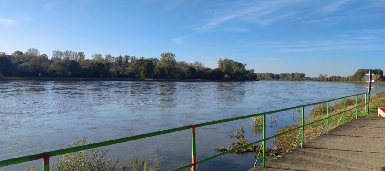 Urlaub Am Rhein Speyer Hockenheim Leilighet Altlussheim Eksteriør bilde